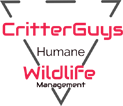 CritterGuys Wildlife